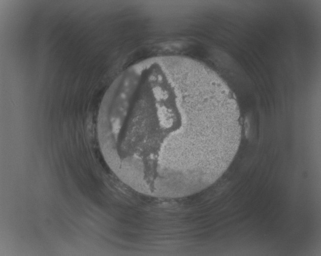 X0000080731395200701121858