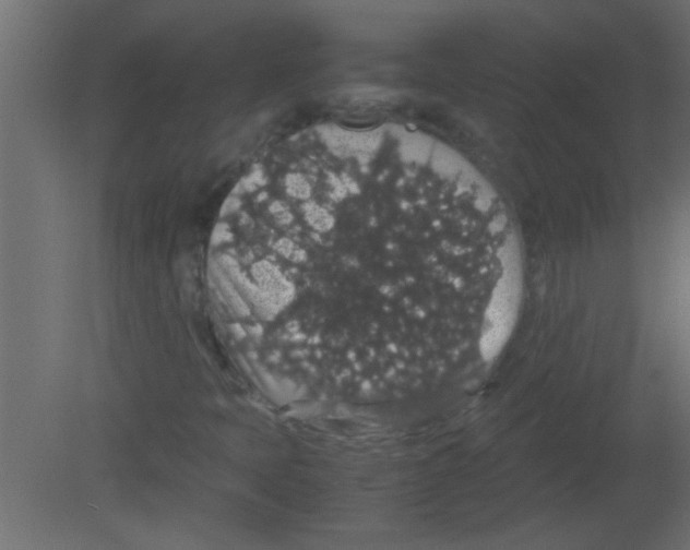 X0000080731397200701121858