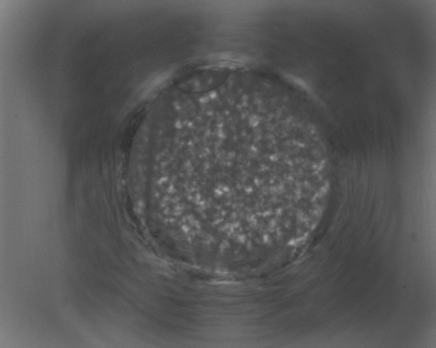 X0000080731399200701121858