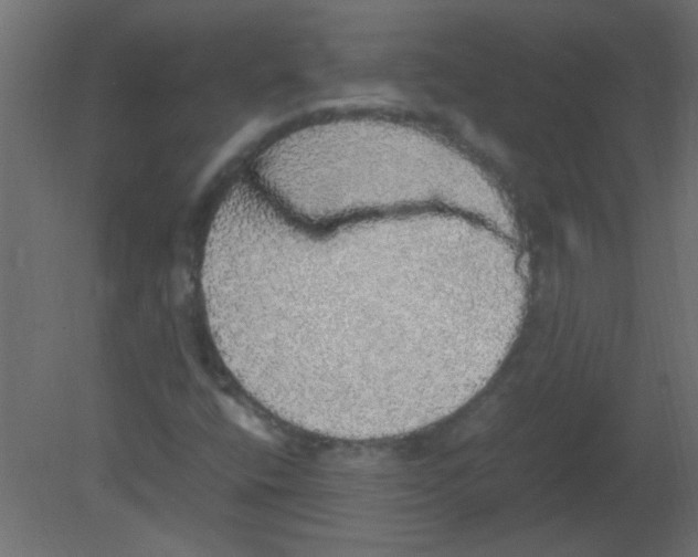 X0000080731400200701121858