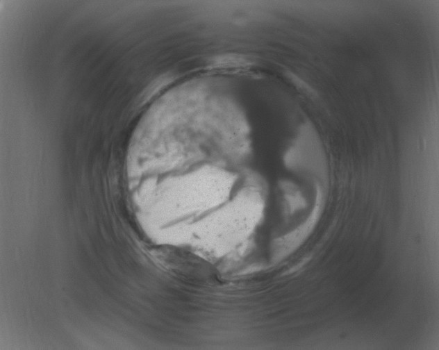 X0000080731401200701121858