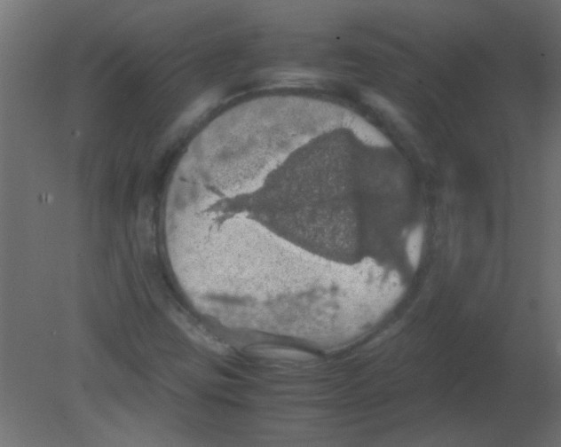 X0000080731403200701121858