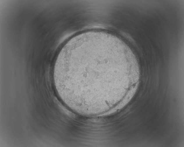 X0000080731404200701121858