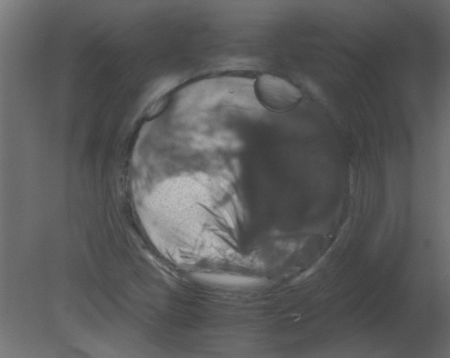 X0000080731405200701121858