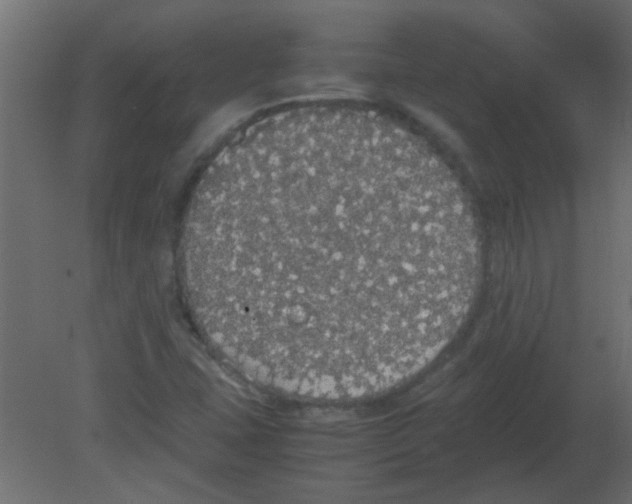 X0000080731407200701121858