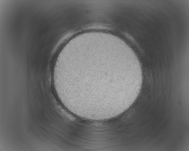 X0000080731408200701121858