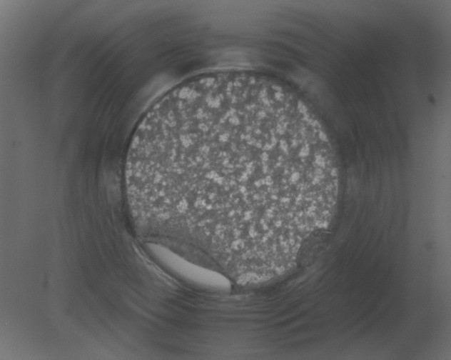 X0000080731409200701121858