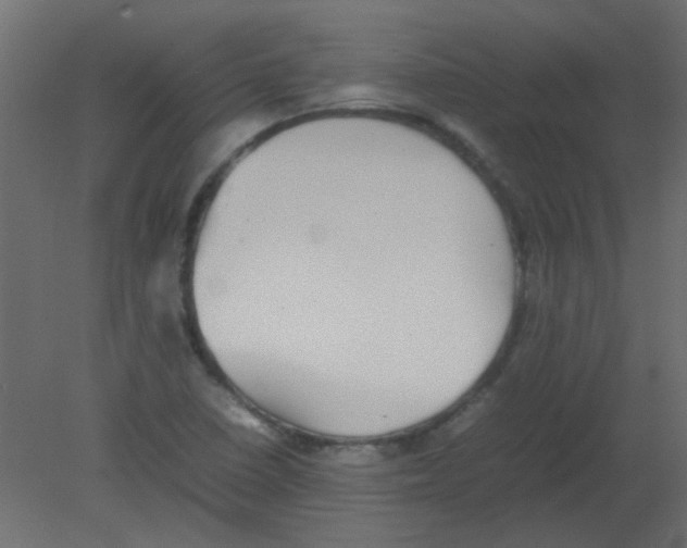 X0000080731410200701121858