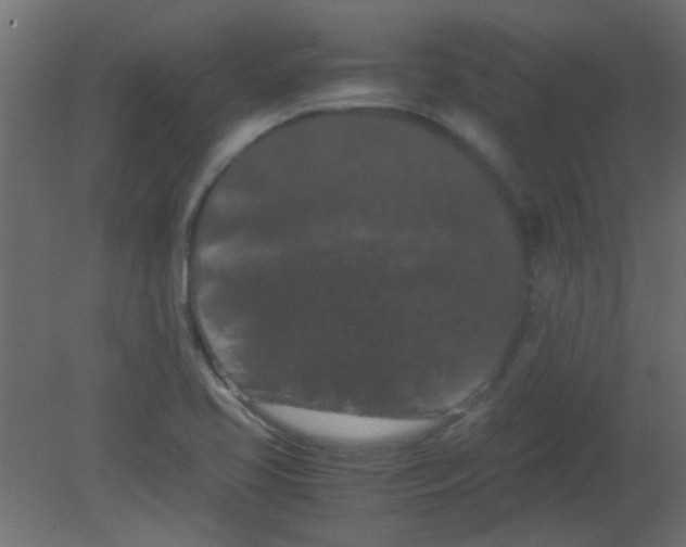 X0000080731413200701121858