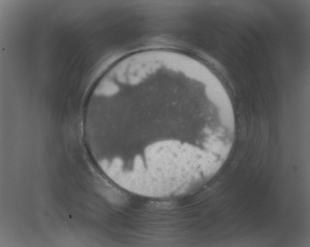 X0000080731415200701121858