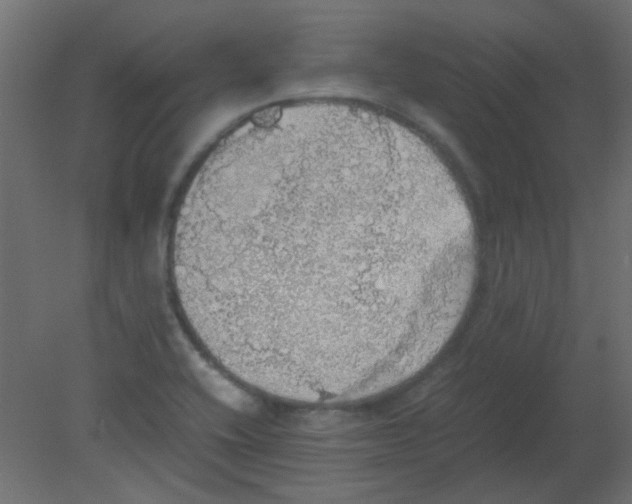 X0000080731416200701121858