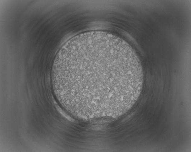 X0000080731417200701121858