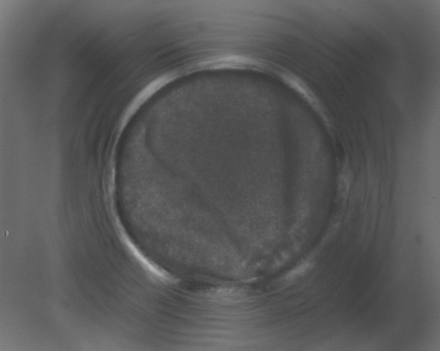 X0000080731418200701121858