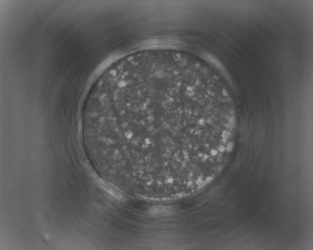 X0000080731419200701121858