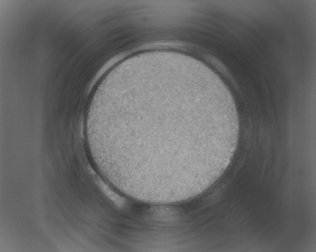 X0000080731420200701121858