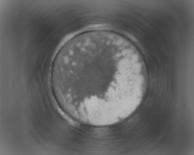 X0000080731421200701121858