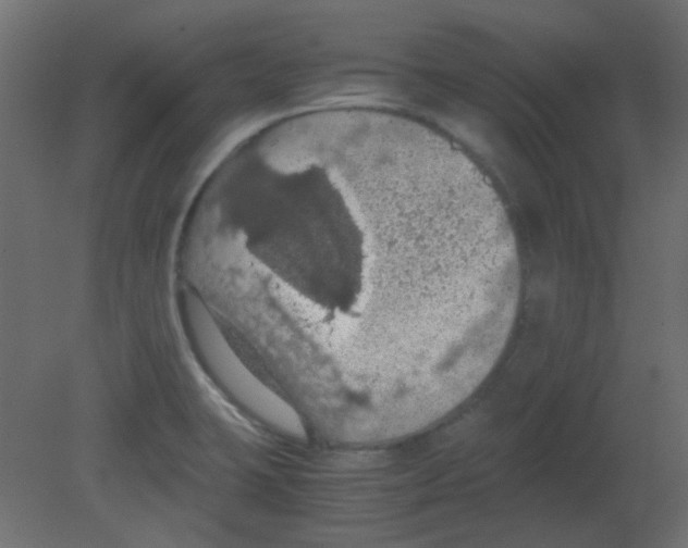 X0000080731423200701121859