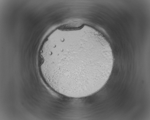 X0000080731424200701121859