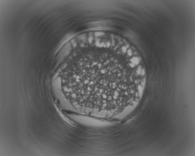 X0000080731425200701121859