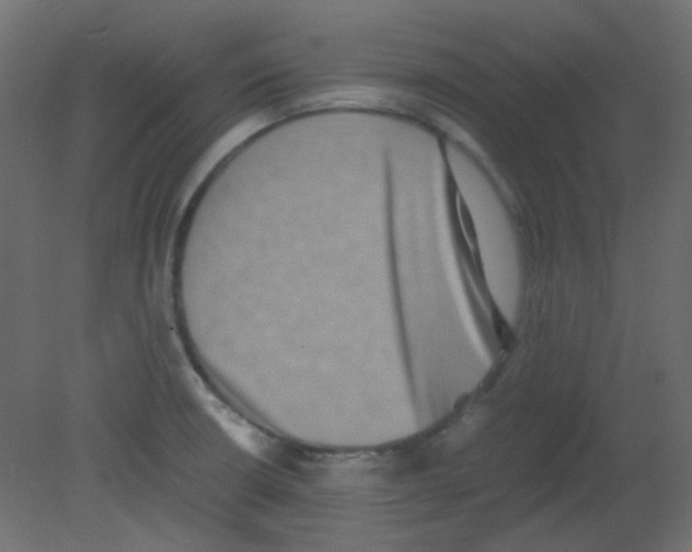 X0000080731426200701121859