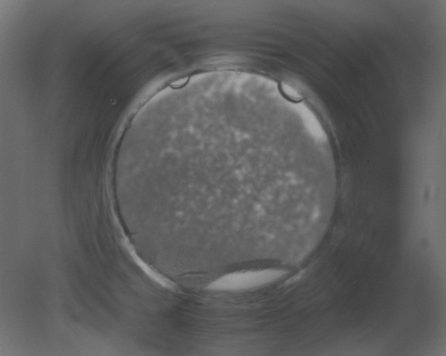 X0000080731429200701121859