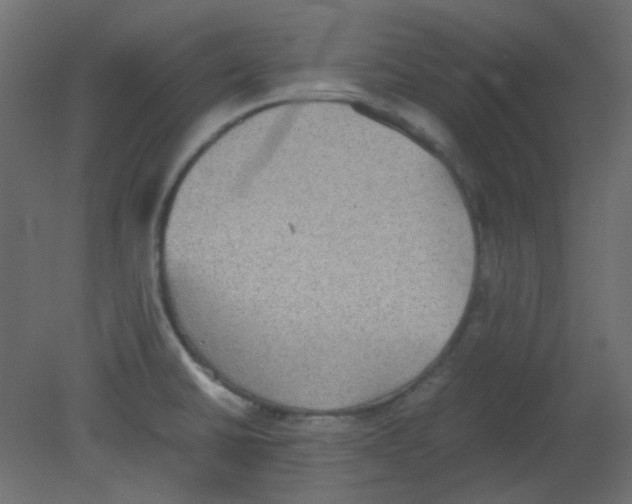 X0000080731430200701121859