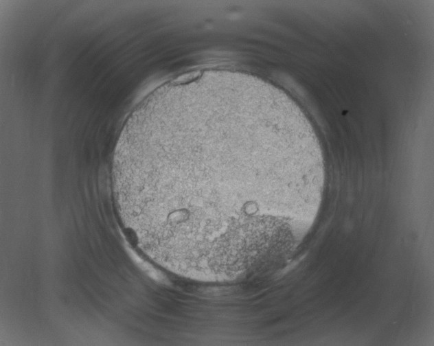 X0000080731433200701121859