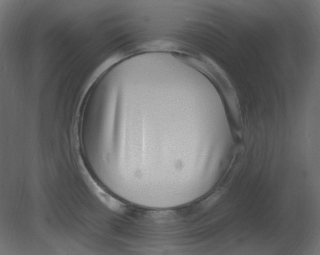 X0000080731434200701121859