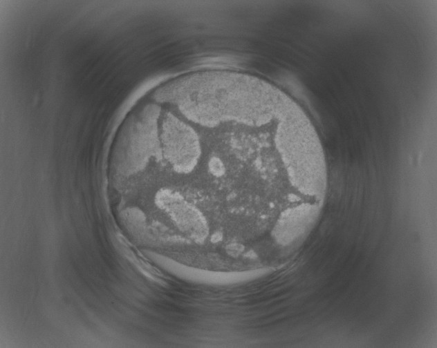 X0000080731435200701121859