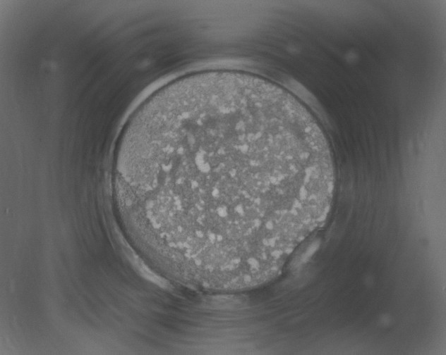 X0000080731436200701121859