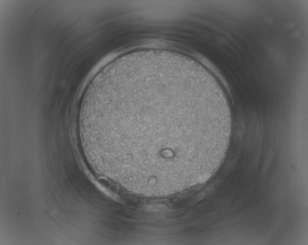 X0000080731437200701121859