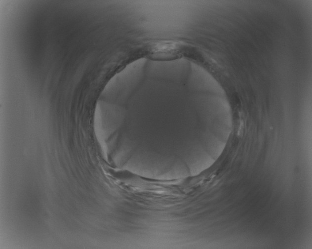 X0000080731441200701121858