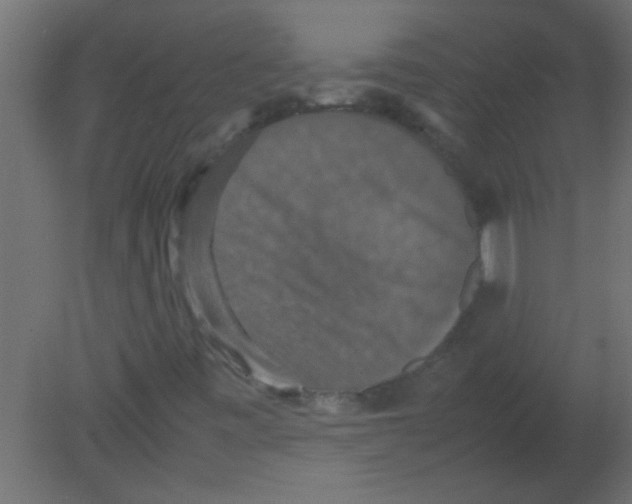 X0000080731443200701121858