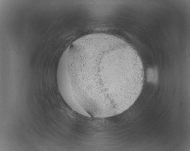 X0000080731444200701121858