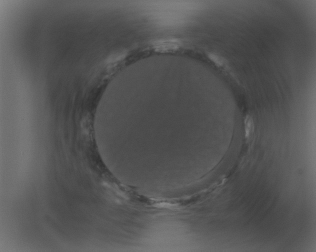 X0000080731445200701121858