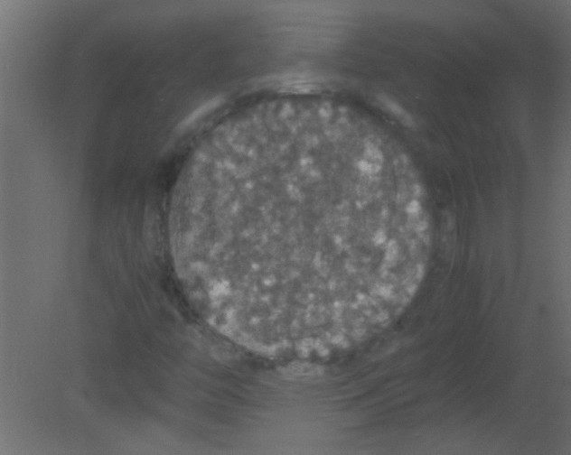 X0000080731446200701121858