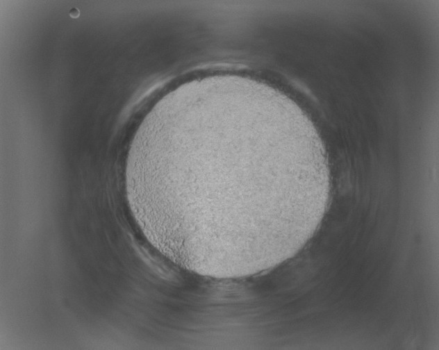 X0000080731448200701121858