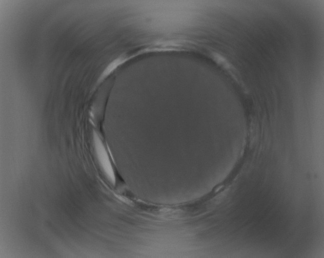 X0000080731449200701121858