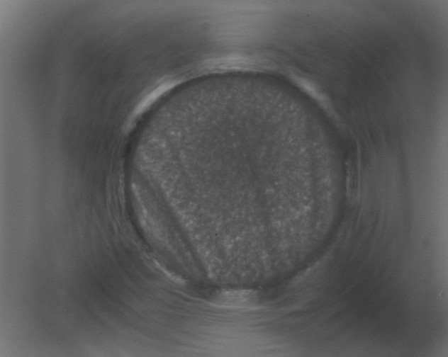 X0000080731453200701121858