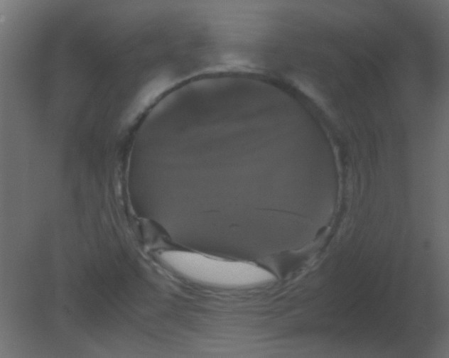 X0000080731455200701121858