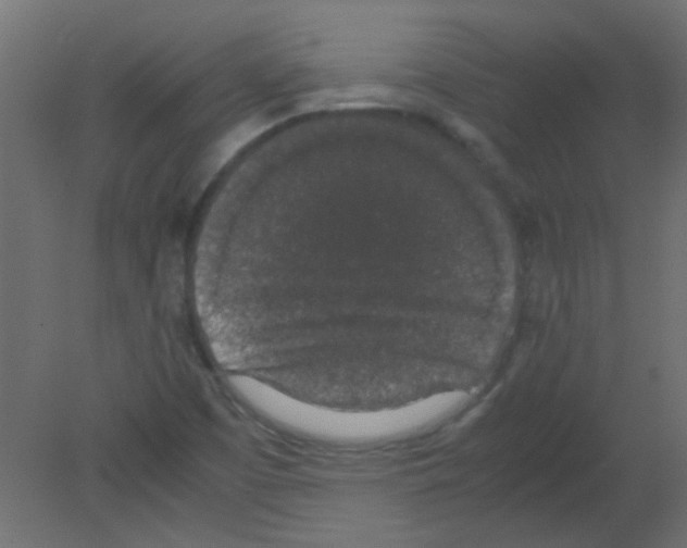 X0000080731457200701121858