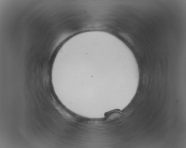 X0000080731458200701121858