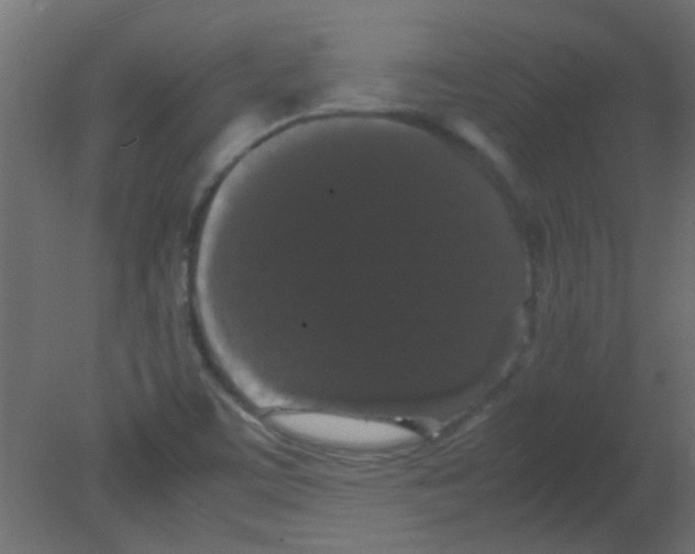 X0000080731459200701121858