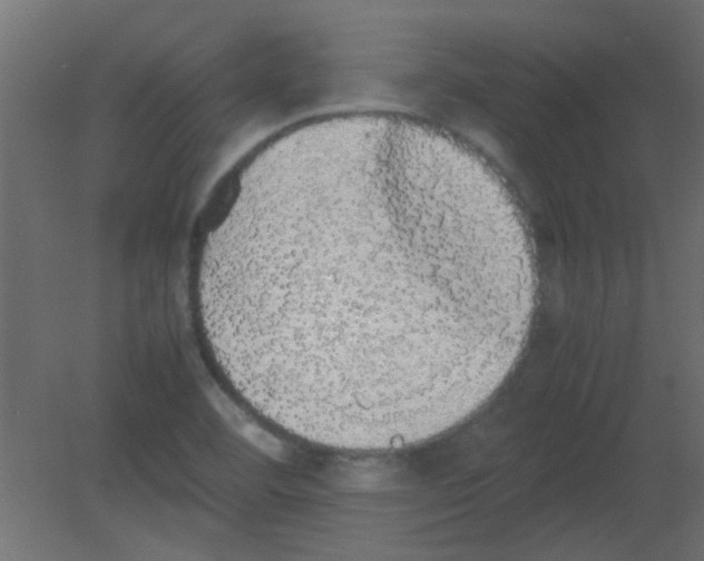 X0000080731460200701121858