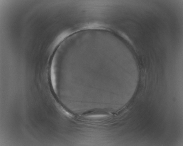 X0000080731463200701121858