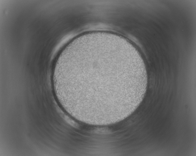 X0000080731464200701121858