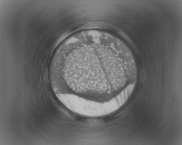 X0000080731465200701121858