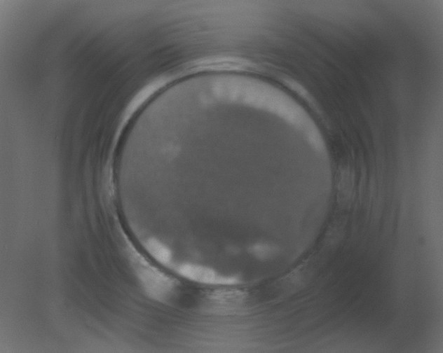 X0000080731466200701121858