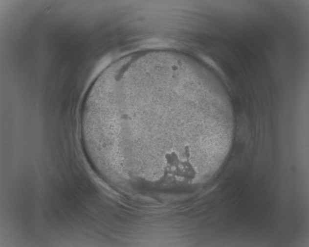 X0000080731467200701121858