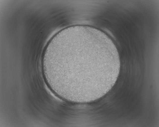 X0000080731468200701121858